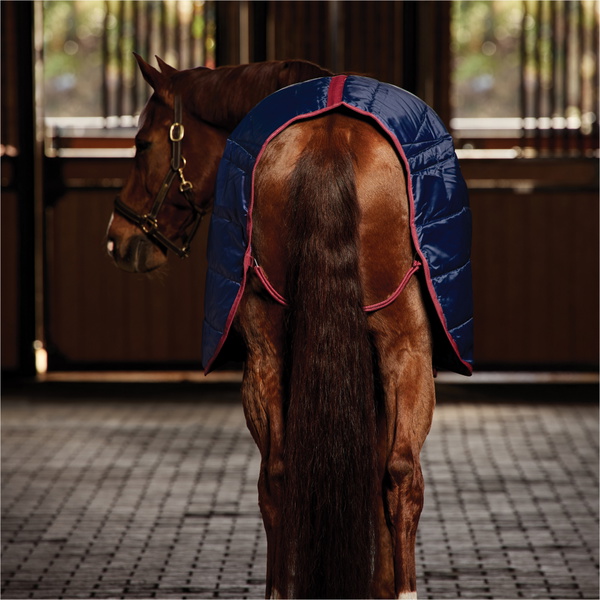 2025 WeatherBeeta Comfitec 210D Channel Quilt Équitation Stable Standard Encolure 102904 - Navy